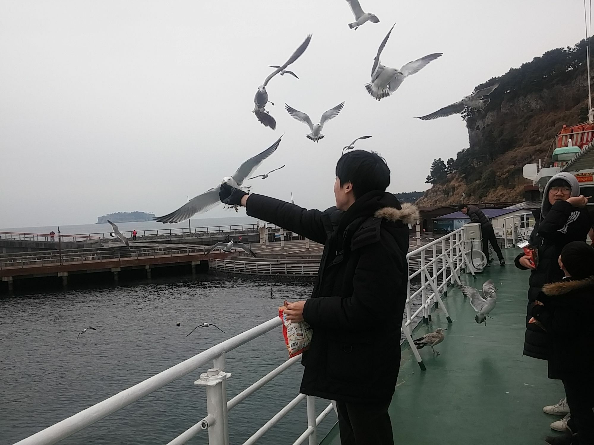 Seom Story Pension Seogwipo Esterno foto